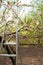 Staircase against the background of a blooming garden. Metal stepladder and background from trees in spring close-up and copy spac