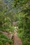 Staircase down the hill in a tropical forest.