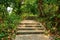 Staircase in Forest, Marang Trail, Singapore