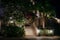 The staircase leading to the white building is illuminated by lanterns.Night view walkway with tropical palm trees in the light of