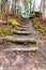 Staircase with logs in swedish forest