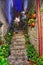 Staircase at night with flowers. Climb stairs to a mystery in a dark park.