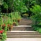 Staircase in the park