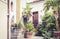 Staircase and plants in tubs in the courtyard of the house in Acitrezza, Catania, Sicily, Italy