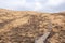 The staircase rises to a sandy dune. Climbing to the top in the desert