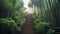 Staircase with steps in a gloomy Chinese bamboo forest