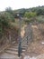 Staircase to forest