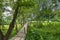 Staircase to Patok Cave in Nong Khiaw - Laos