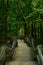 Staircase to the trails.