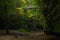 Staircase to the trails.Light entering the Lower Dells.