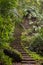 Staircase up the hill in a tropical forest near the Nongriat village with famous living root bridges