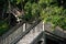 Staircase weaving through the woods and trees to beach house