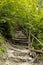 Staircase in the wilderness of nature next to the reservoir.