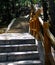 The staircases ascend to the top of mountain, the Chinese style