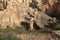 Stairs in the ancient tombs of the Kings in Paphos, Cyprus