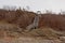 Stairs from the bbeach tot the cliffs on the coast of Pakri Peninsula, Paldiski