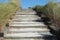 Stairs At The Beach