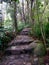 Stairs at Cilember waterfall