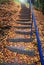 Stairs covered with autumn leaves