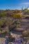 Stairs down into Tuff Canyon with afternoon sun