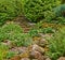 Stairs in the green overgrown garden