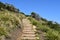 Stairs among green vegetation under a clear blue sky, Royal National Park