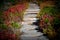 Stairs on hiking trail, Mt. Rainier National Park