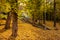 Stairs leading to the cable car for Tampa mountain surrounded by colorful autumn leaves