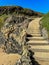 Stairs leading to Whalers Cove Beach in California