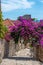 Stairs leading towards the Lovrijenac fortress in Dubrovnik, Croatia