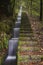 Stairs with levada water canal stream, Ribeiro Frio, Madeira island.