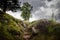 Stairs in meadow stairway to heaven tree on hill