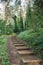 Stairs in a park