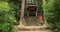 Stairs in a park leading to a shrine