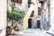 Stairs and plants in tubs in the courtyard of the house in Catania, Sicily, Italy