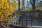 Stairs, steps,  leading to the old park, out of focus, in the foreground, in focus yellow flowering bush