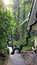 Stairs To The Kathu Waterfall In Beautiful Rain Forest