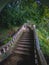 Stairs To The Kathu Waterfall In Beautiful Rain Forest