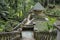 Stairs to Kathu waterfall in Phuket, Thailand. Day 25 December 2018