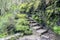 Stairs to Levada das 25 fontes, touristic hiking trail, Rabacal, Madeira island, Portugal