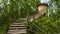 Stairs to the lookout tower at Kavaru, Lindi Nature Reserve. Estonia. Europe. Entrance to observation tower.