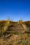 Stairs to the meadow.