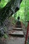 Stairs to Poenari castle, Romania