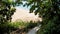 Stairs to the sea through the green tropical trees. Oasis view. Path through the jungle to turquoise ocean water with