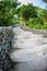 Stairs in the tropical garden