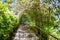 Stairs in the tropical garden