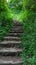 Stairs uphill in green forest