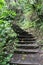 Stairs on the Waikamoi Nature Trail, a dirt and pebble path through a rainforest in Haiku, Maui