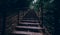 Stairs walking in the forest Thailand