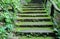 Stairs and walkways with moss